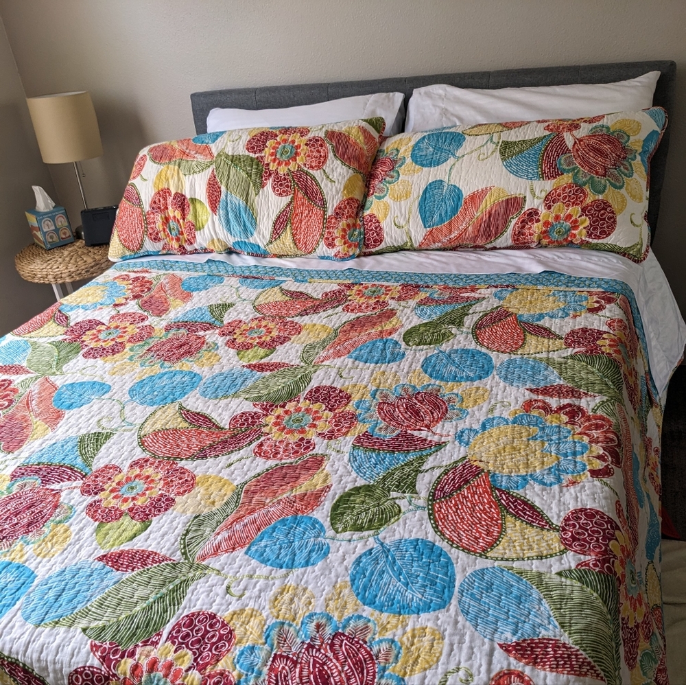 Lush decor Layla quilt & 2 standard shams, full/queen
